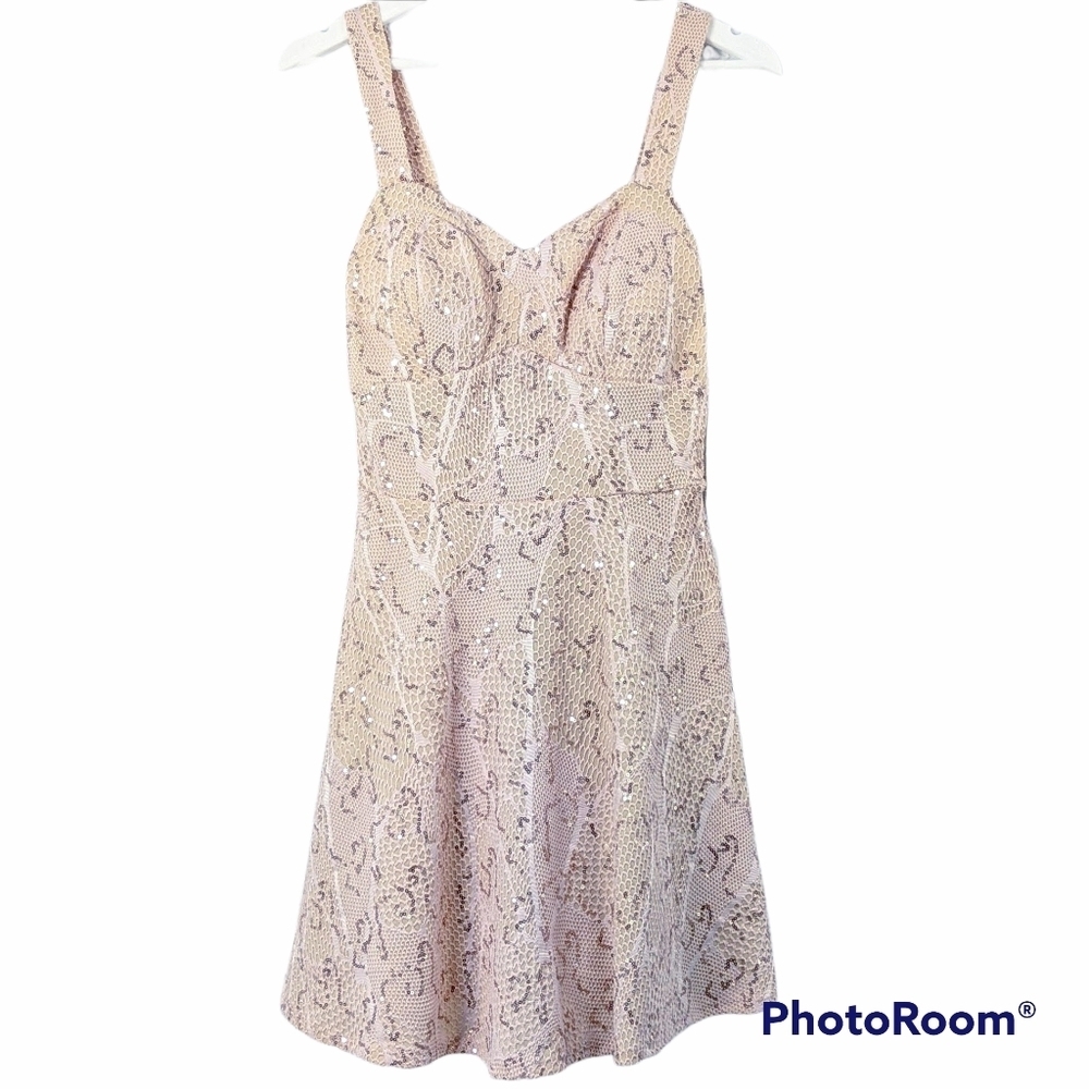 Bailey Blue Blush Gold Sequin Lace Skater Dress